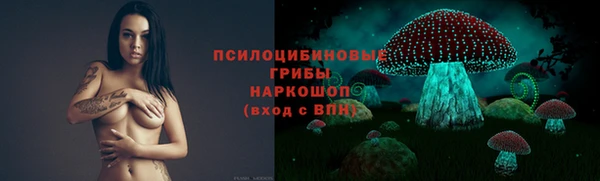 круглые Алексеевка