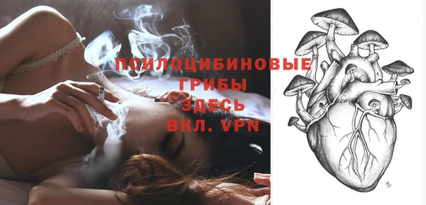 круглые Алексеевка